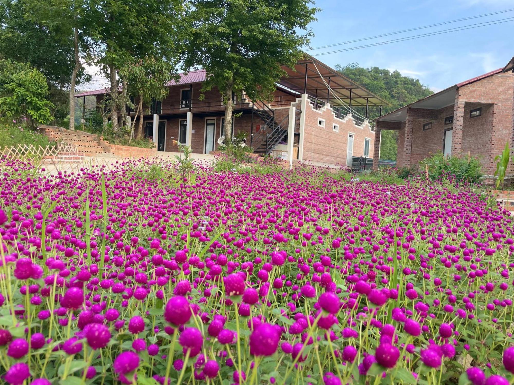 Riverside Homestay Каобанг Екстер'єр фото